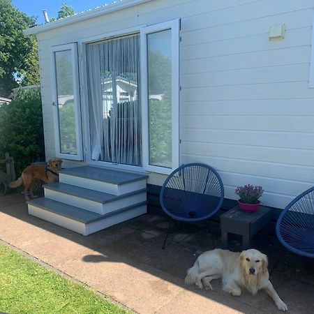 N 9Strandnahes, Hunde-Familienfreundliches Ferienhaus Callantsoog Bagian luar foto