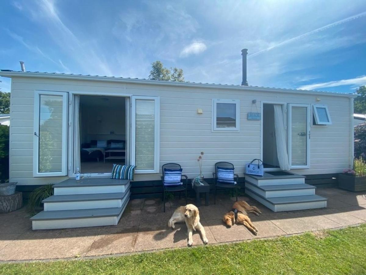 N 9Strandnahes, Hunde-Familienfreundliches Ferienhaus Callantsoog Bagian luar foto
