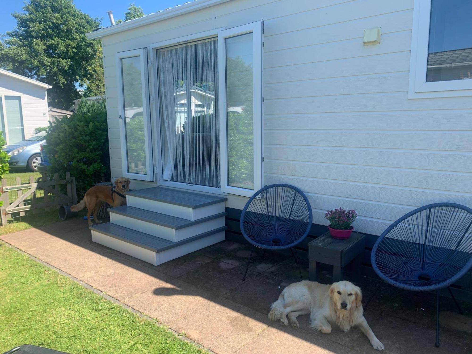 N 9Strandnahes, Hunde-Familienfreundliches Ferienhaus Callantsoog Bagian luar foto